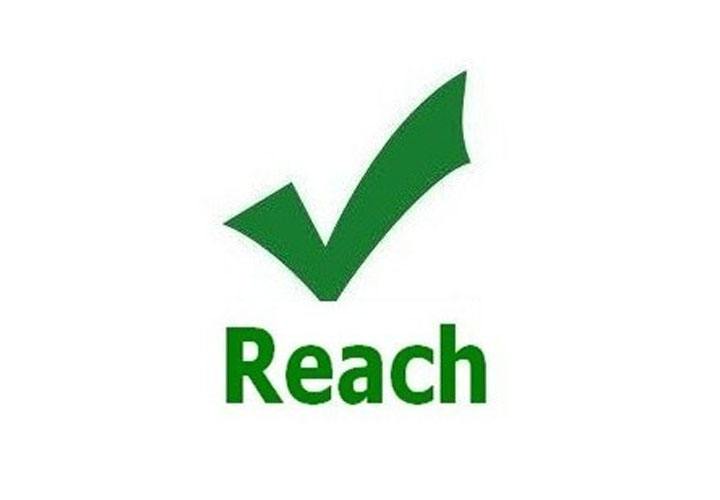 Reach  Rosh检测